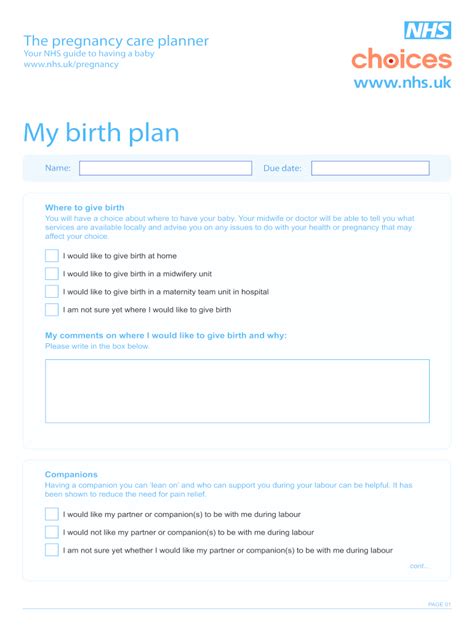 Birth Plan Template Uk