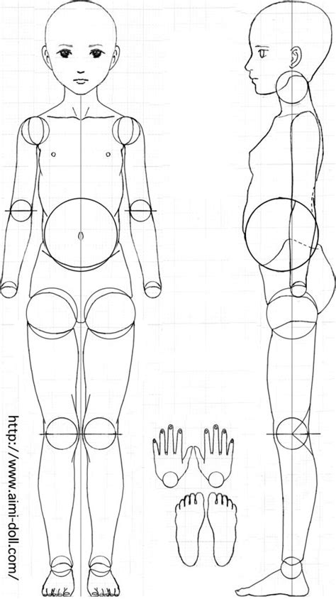 Bjd Template
