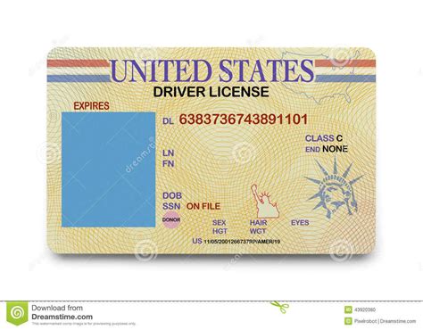 Blank Drivers License Template