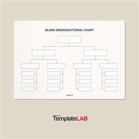 Blank Organizational Chart Template Word