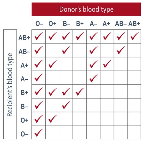 Blood Type Chart