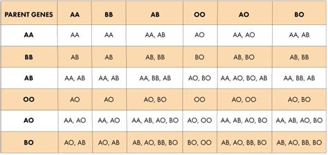 Blood Type Gene Chart