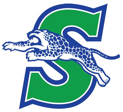 Blue Springs South High School Course Catalog