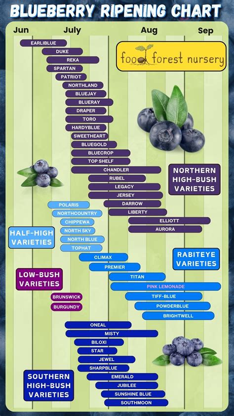 Blueberry Sweetness Chart