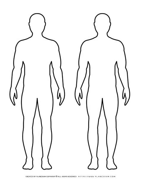 Body Template Drawing