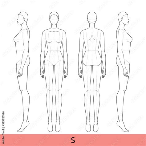 Body Template Female