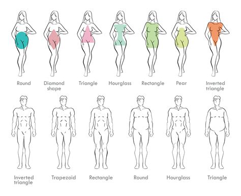 Body Types Female Chart