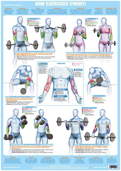 Bodybuilding Charts