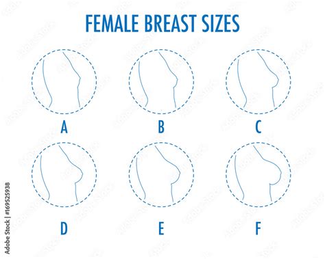 Breast Types Chart