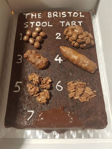 Bristol Stool Chart Chocolate