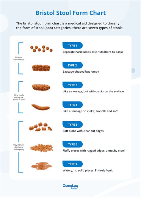 Bristol Stool Chart Photos