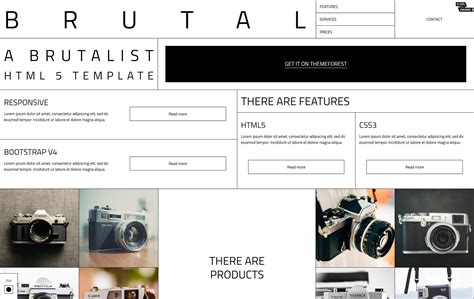Brutalist Website Template