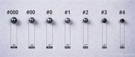 Buckshot Sizes Chart
