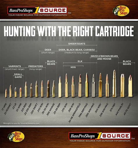 Bullet Caliber Chart Rifle