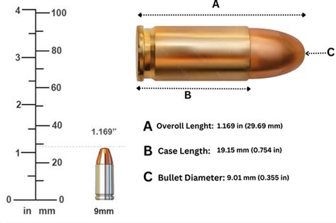 Bullet Dimensions Chart