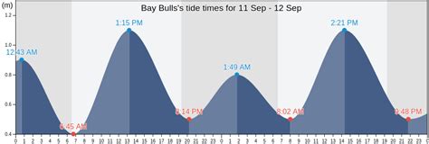 Bulls Bay Tide Chart