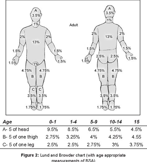 Burn Body Percentage Chart