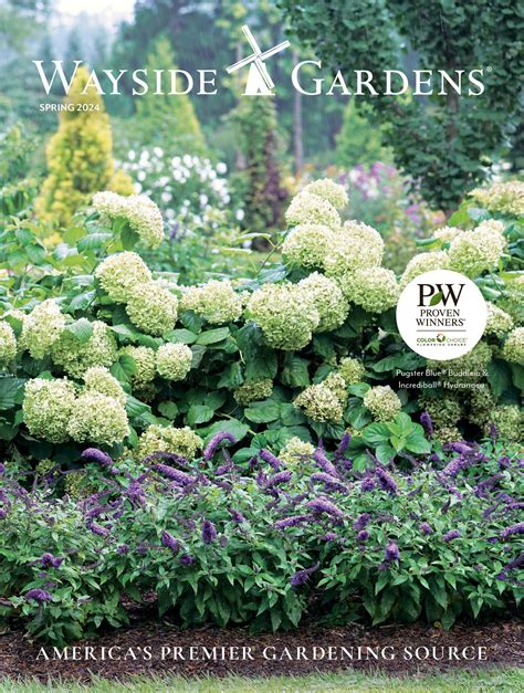 Busse Gardens Catalog