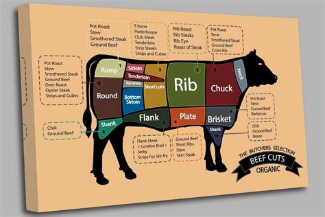 Butcher Beef Cuts Chart
