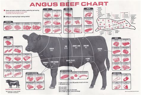 Butcher Chart For Beef
