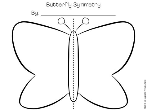 Butterfly Template For Symmetry
