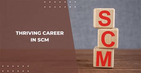 Career In Scm