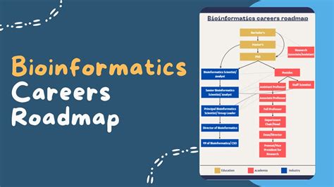 Career Opportunities In Bioinformatics