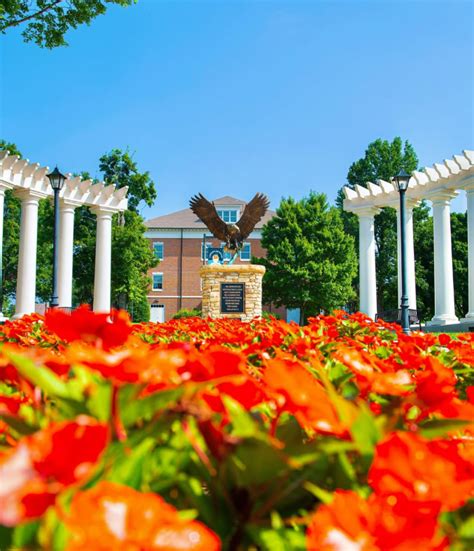 Carson Newman Course Catalog