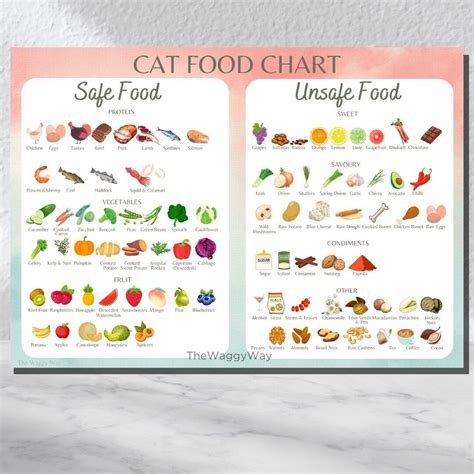 Cat Info Food Chart
