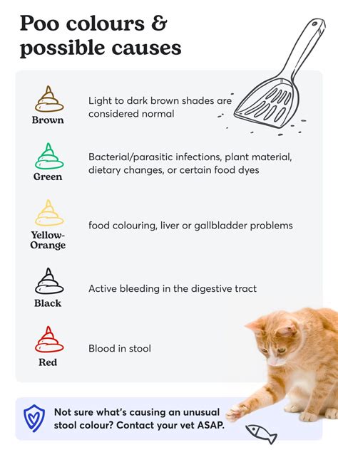 Cat Poop Colour Chart