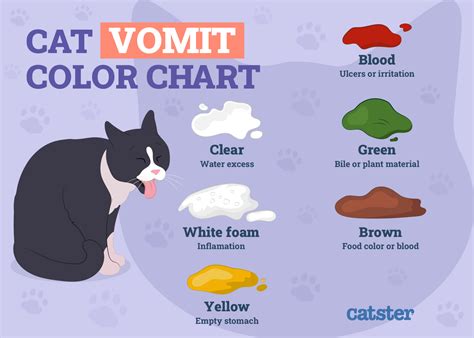 Cat Throw Up Chart