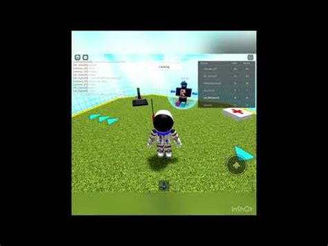 Catalog Heaven How To Remove Forcefield Potion