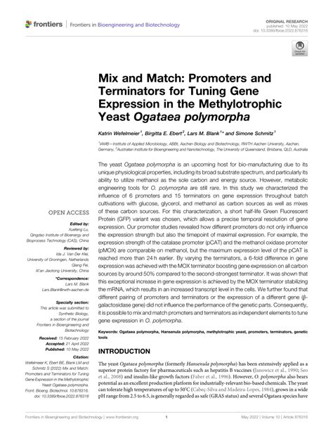 Catalog Of Yeast Promoters And Terminators