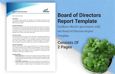 Ceo Report To Board Of Directors Template