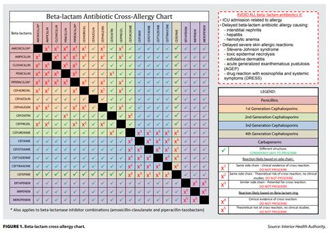 Cephalosporins Cross Reactivity Chart