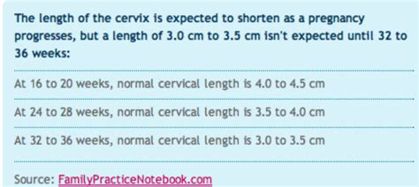 Cervical Length Chart