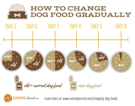 Changing Dog Food Chart