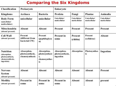 Characteristics Of The Six Kingdoms Chart