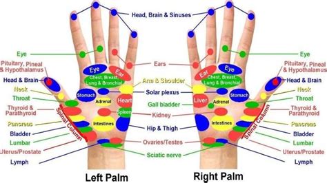 Chart Of Acupressure Points