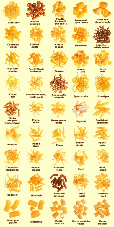 Chart Of Pasta Shapes