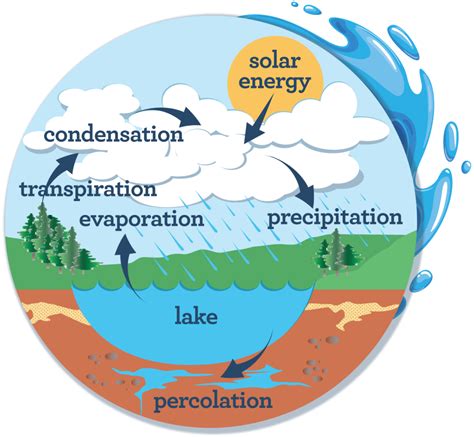 Chart Of The Water Cycle