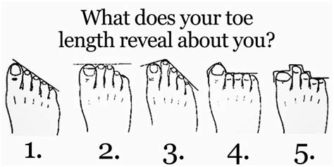 Chart Toe Meaning