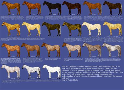 Chestnut Horse Color Chart