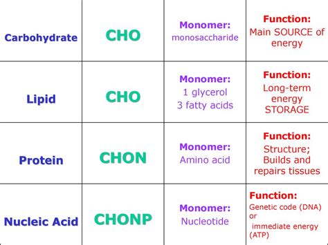 Cho Chon Chonp Chart