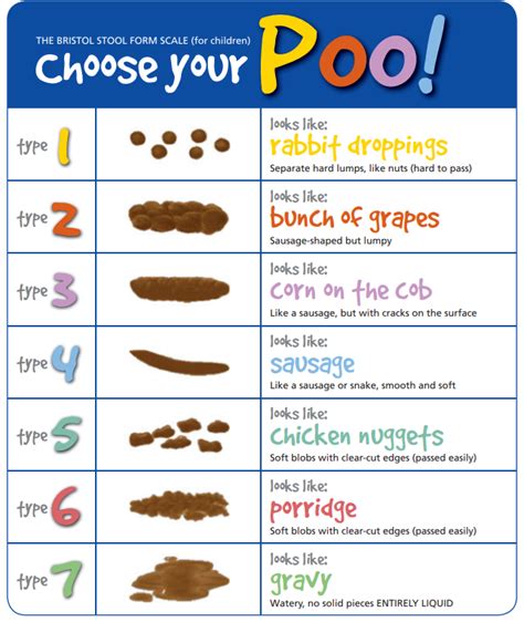 Choose Your Poo Chart
