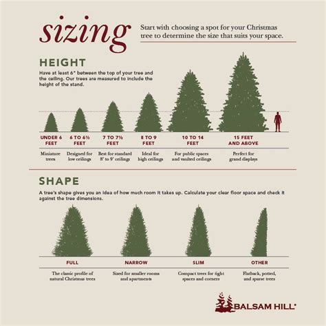 Christmas Tree Size Chart