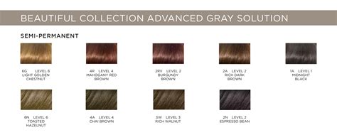 Clairol Advanced Gray Solution Color Chart