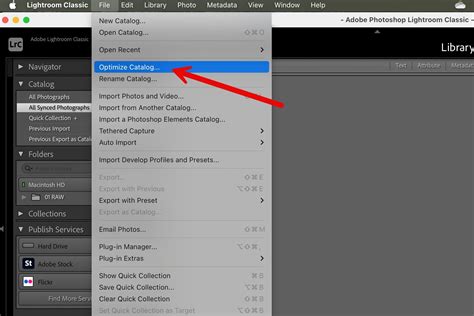 Clean The Catalog On Lightroom Makes Run Faster