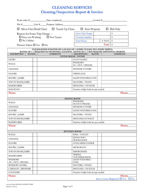 Cleaning Report Template