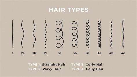 Coarse Hair Chart